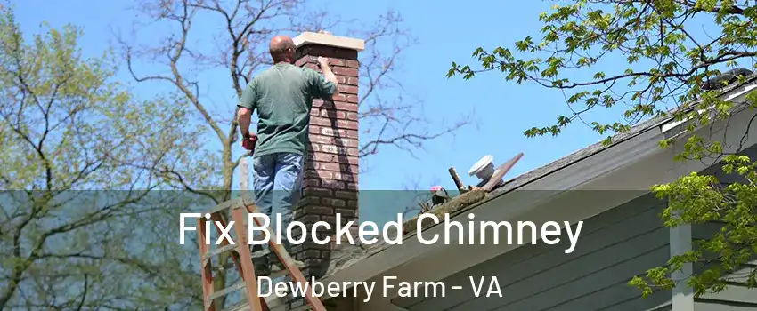 Fix Blocked Chimney Dewberry Farm - VA