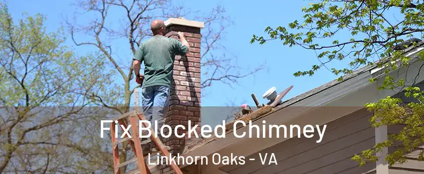 Fix Blocked Chimney Linkhorn Oaks - VA