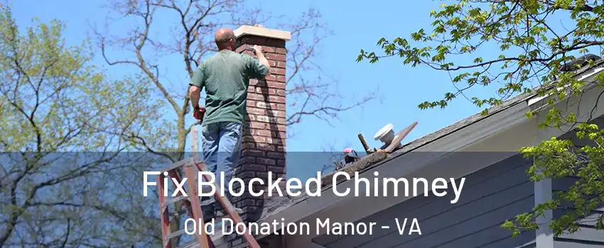 Fix Blocked Chimney Old Donation Manor - VA