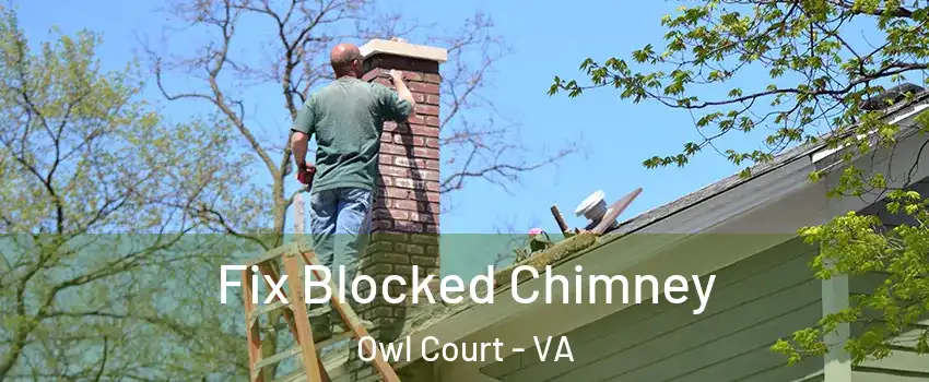 Fix Blocked Chimney Owl Court - VA