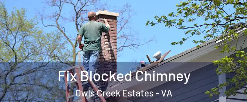 Fix Blocked Chimney Owls Creek Estates - VA