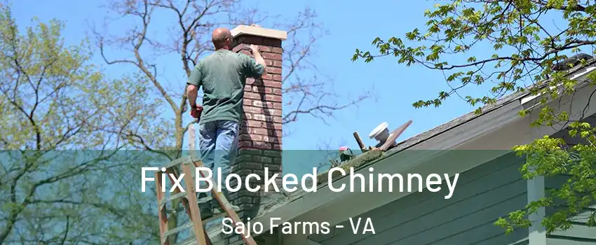 Fix Blocked Chimney Sajo Farms - VA