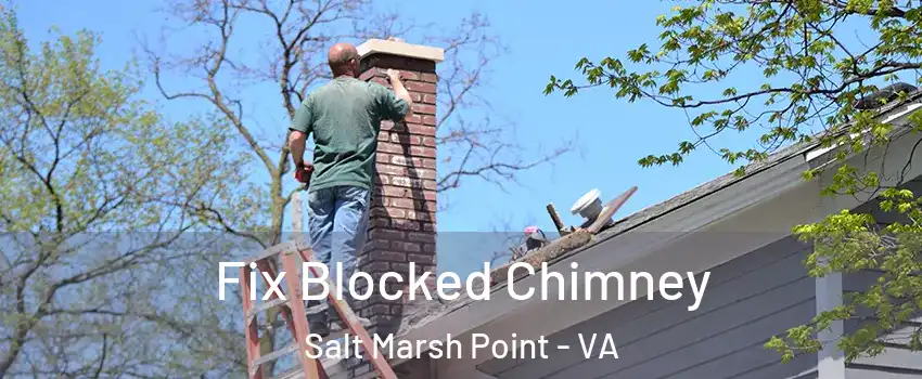 Fix Blocked Chimney Salt Marsh Point - VA