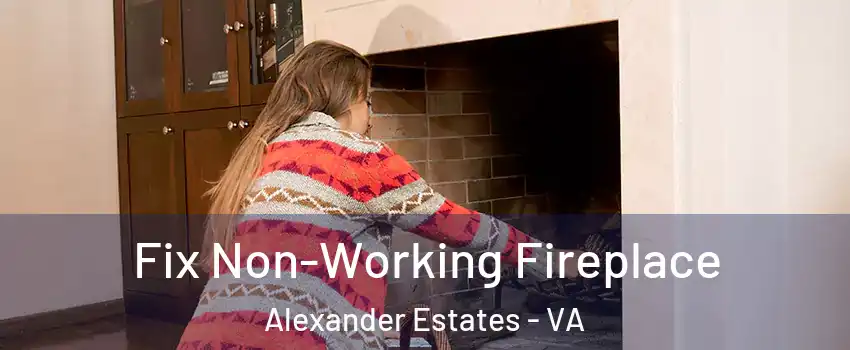 Fix Non-Working Fireplace Alexander Estates - VA