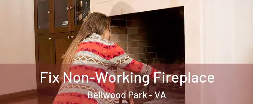 Fix Non-Working Fireplace Bellwood Park - VA