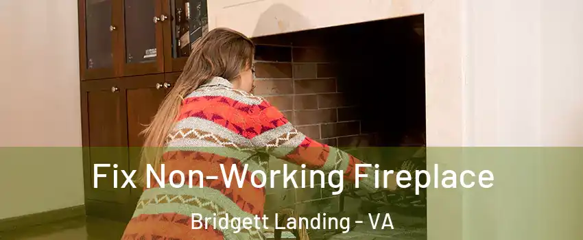 Fix Non-Working Fireplace Bridgett Landing - VA