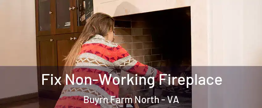 Fix Non-Working Fireplace Buyrn Farm North - VA