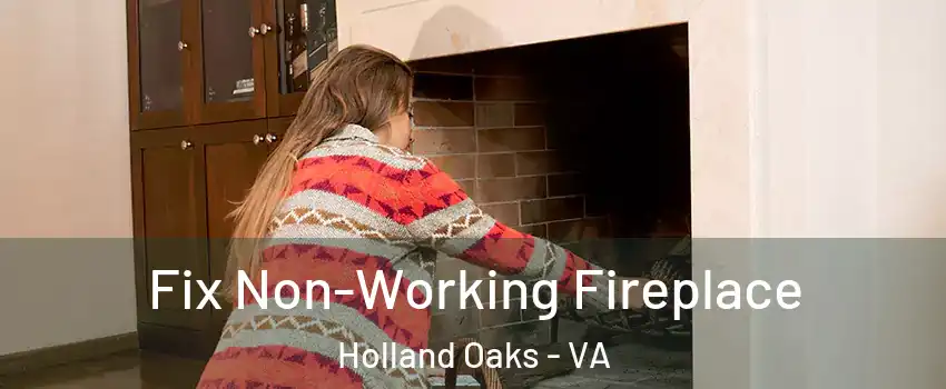 Fix Non-Working Fireplace Holland Oaks - VA