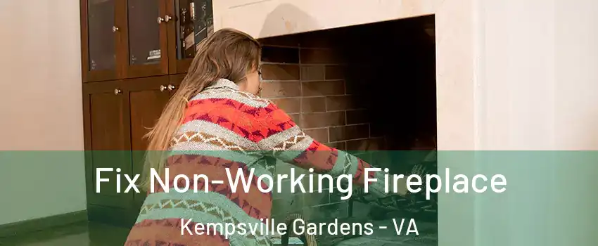 Fix Non-Working Fireplace Kempsville Gardens - VA