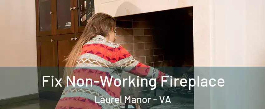 Fix Non-Working Fireplace Laurel Manor - VA