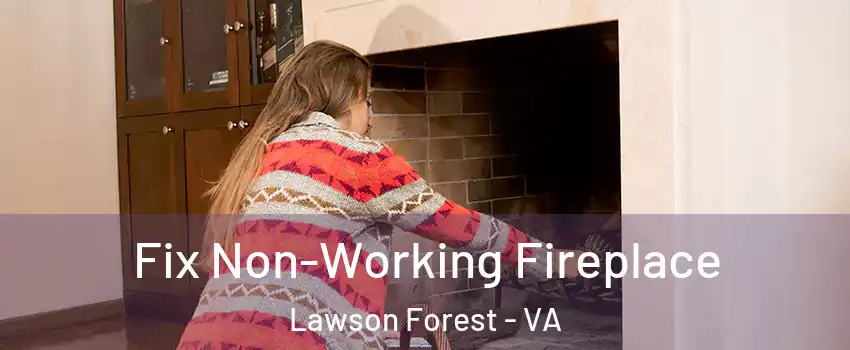 Fix Non-Working Fireplace Lawson Forest - VA