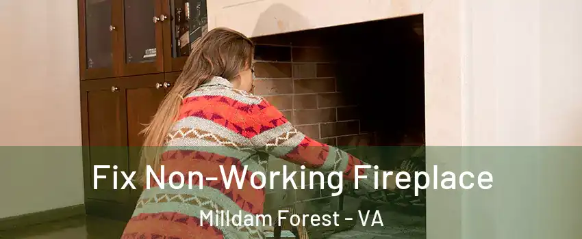 Fix Non-Working Fireplace Milldam Forest - VA