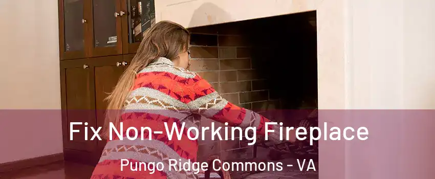 Fix Non-Working Fireplace Pungo Ridge Commons - VA