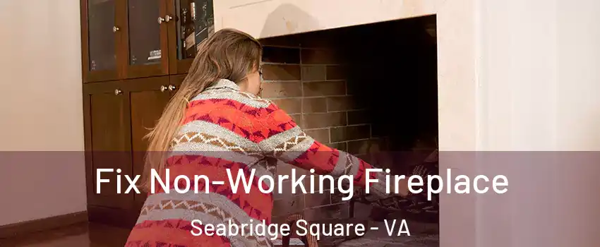 Fix Non-Working Fireplace Seabridge Square - VA