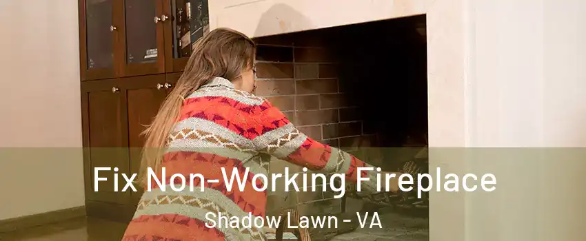 Fix Non-Working Fireplace Shadow Lawn - VA