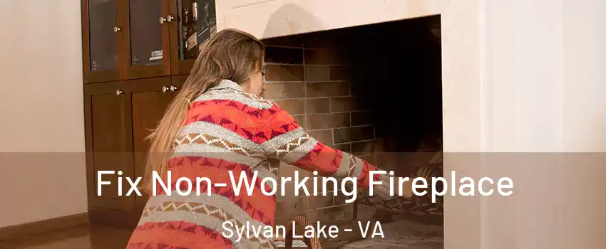 Fix Non-Working Fireplace Sylvan Lake - VA