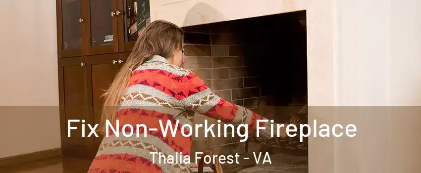 Fix Non-Working Fireplace Thalia Forest - VA