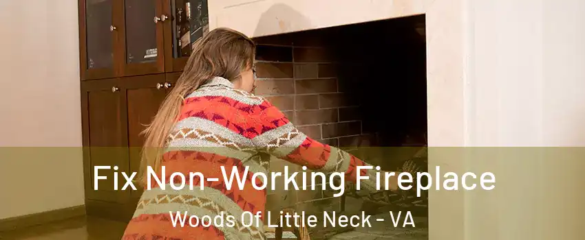 Fix Non-Working Fireplace Woods Of Little Neck - VA