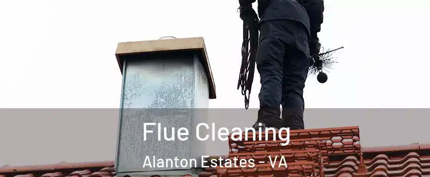 Flue Cleaning Alanton Estates - VA