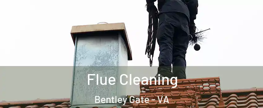 Flue Cleaning Bentley Gate - VA