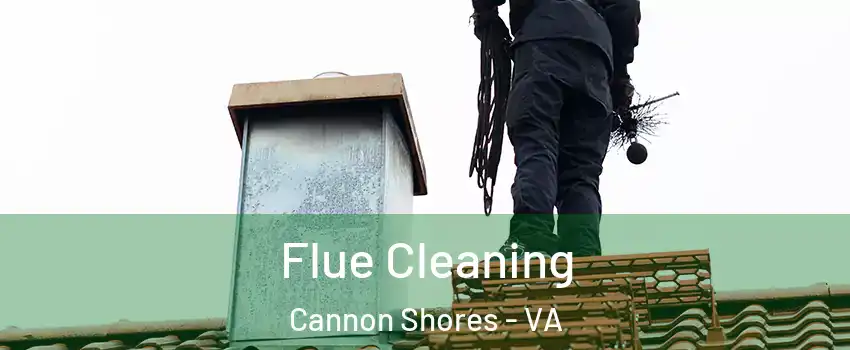 Flue Cleaning Cannon Shores - VA