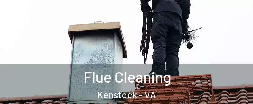 Flue Cleaning Kenstock - VA