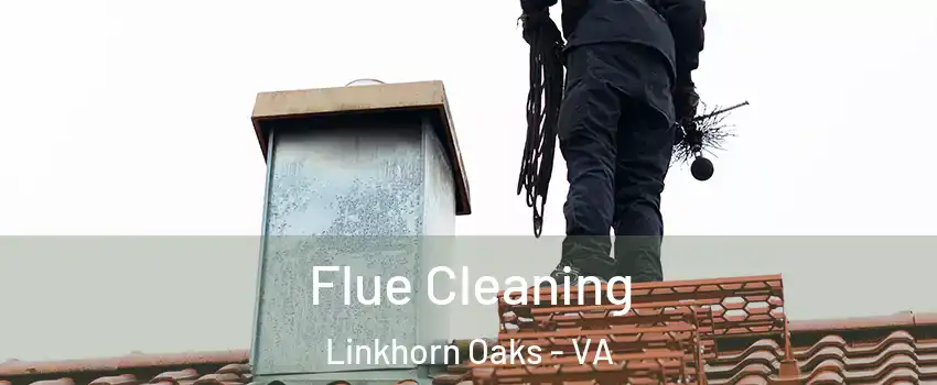 Flue Cleaning Linkhorn Oaks - VA