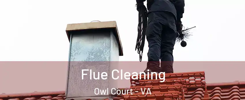 Flue Cleaning Owl Court - VA