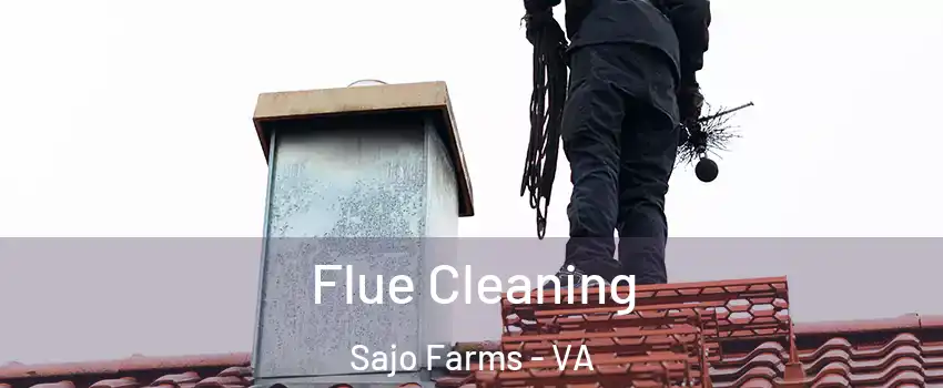 Flue Cleaning Sajo Farms - VA