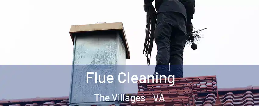 Flue Cleaning The Villages - VA