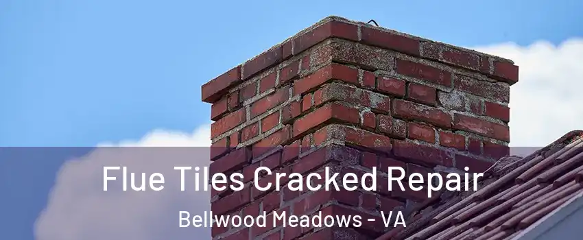 Flue Tiles Cracked Repair Bellwood Meadows - VA