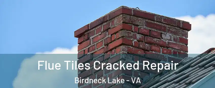 Flue Tiles Cracked Repair Birdneck Lake - VA