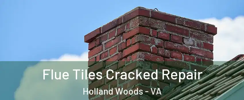 Flue Tiles Cracked Repair Holland Woods - VA