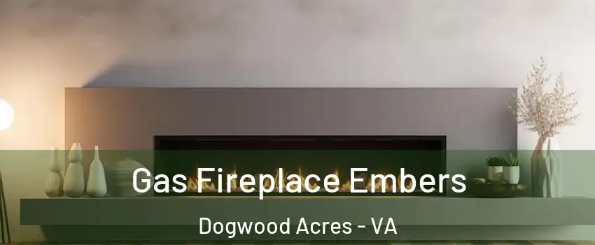 Gas Fireplace Embers Dogwood Acres - VA