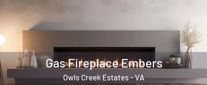 Gas Fireplace Embers Owls Creek Estates - VA