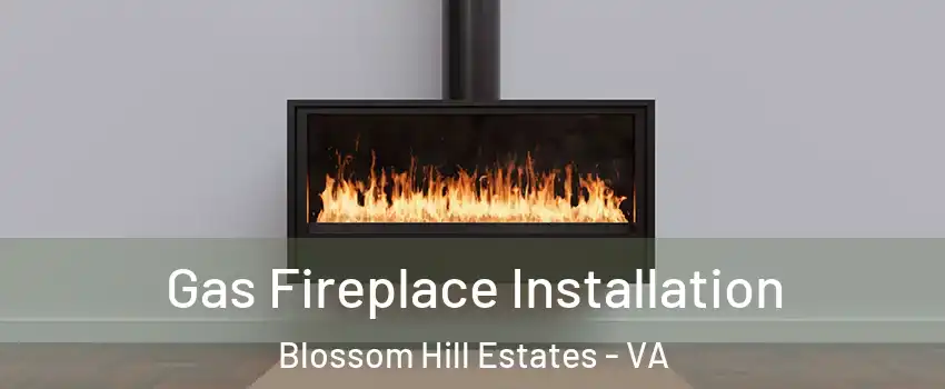 Gas Fireplace Installation Blossom Hill Estates - VA