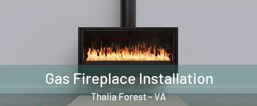 Gas Fireplace Installation Thalia Forest - VA