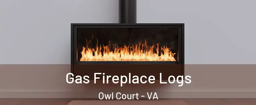 Gas Fireplace Logs Owl Court - VA