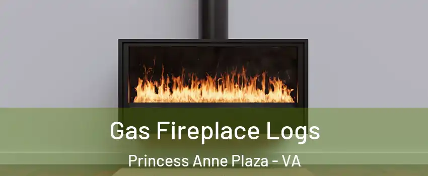 Gas Fireplace Logs Princess Anne Plaza - VA