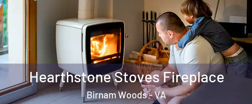 Hearthstone Stoves Fireplace Birnam Woods - VA