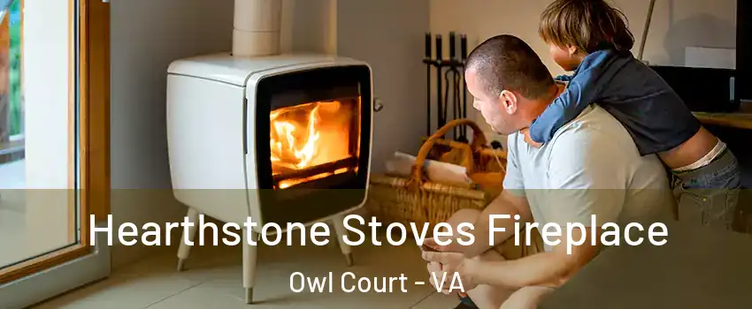 Hearthstone Stoves Fireplace Owl Court - VA