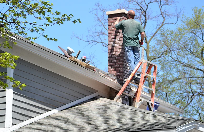 Chimney & Fireplace Inspections Services in Virginia Beach, VA