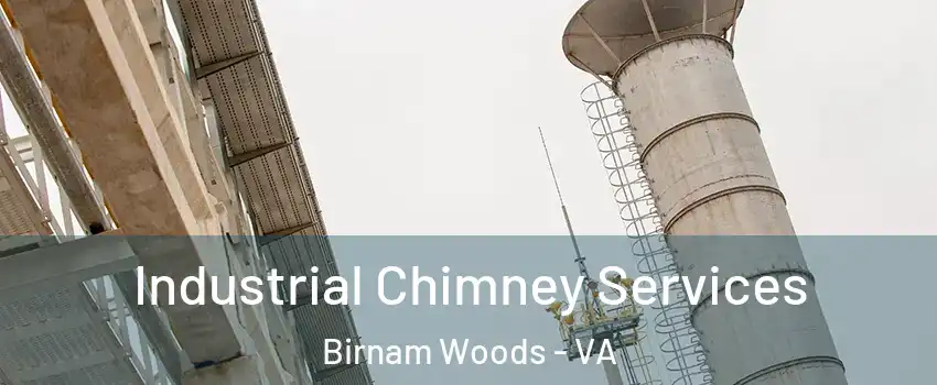 Industrial Chimney Services Birnam Woods - VA