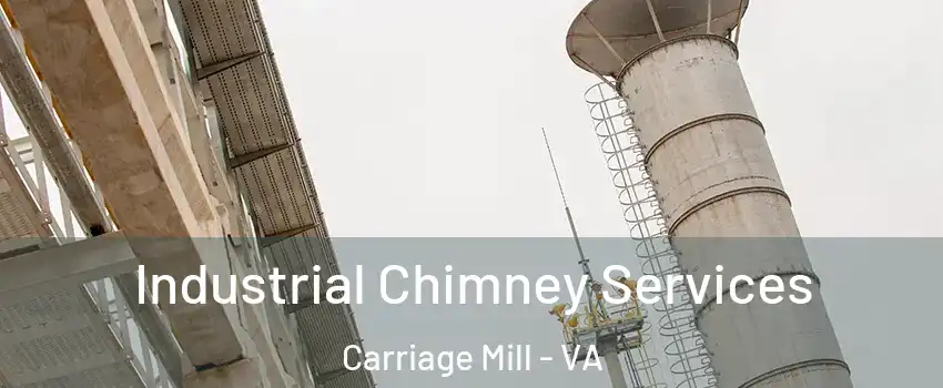 Industrial Chimney Services Carriage Mill - VA