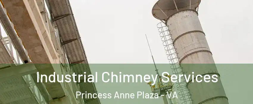 Industrial Chimney Services Princess Anne Plaza - VA