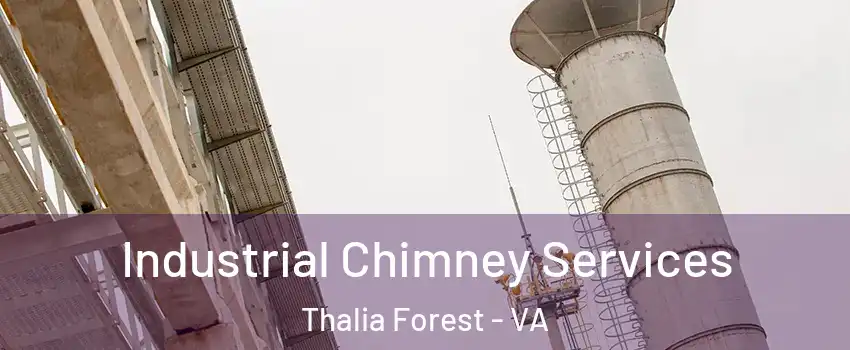 Industrial Chimney Services Thalia Forest - VA