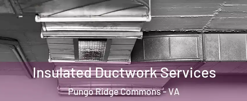 Insulated Ductwork Services Pungo Ridge Commons - VA