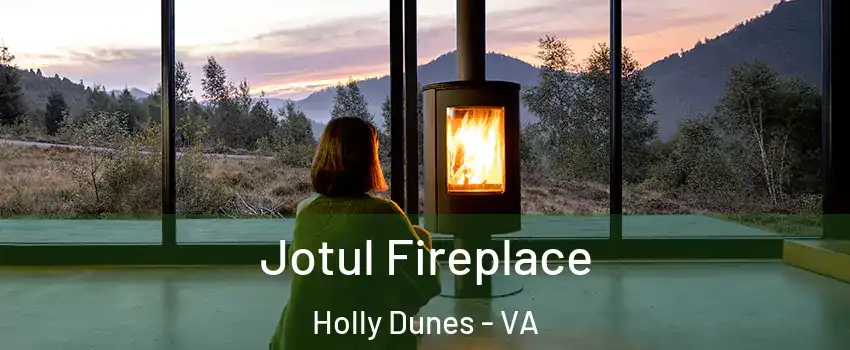 Jotul Fireplace Holly Dunes - VA