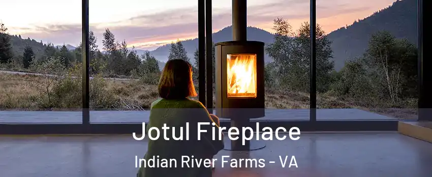 Jotul Fireplace Indian River Farms - VA