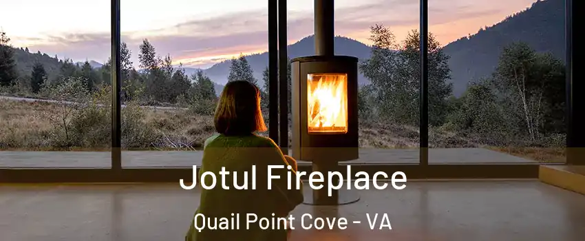 Jotul Fireplace Quail Point Cove - VA